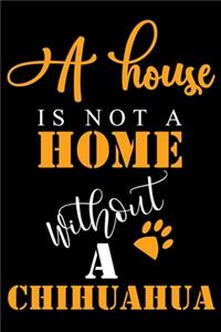 A House Is Not A Home Without A Chihuahua