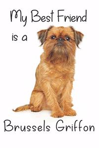 My best Friend is a Brussels Griffon