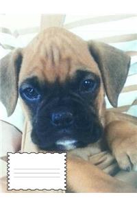 Boxer Puppy Composition Book
