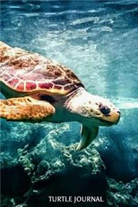 Turtle Journal