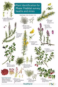 Plant identification for Phase 1 habitat survey: heaths and meres