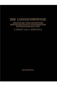 Die Lungenphthise: Ergebnisse Vergleichender Röntgenologisch-Anatomischer Untersuchungen