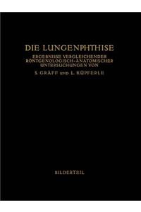 Die Lungenphthise