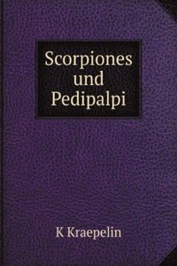 Scorpiones und Pedipalpi