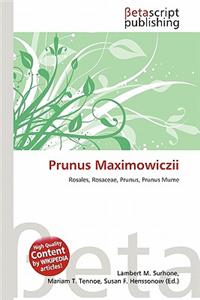 Prunus Maximowiczii