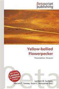Yellow-Bellied Flowerpecker