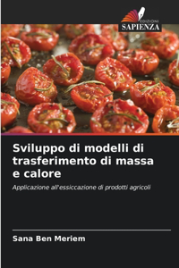 Sviluppo di modelli di trasferimento di massa e calore