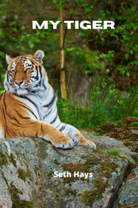 My Tiger