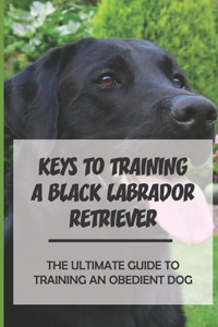 Keys To Training A Black Labrador Retriever