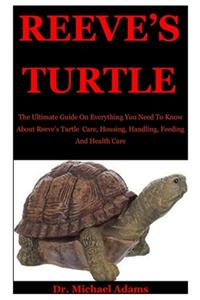 Reeve's Turtle