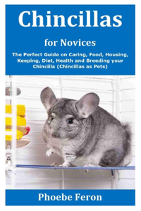 Chincillas for Novices