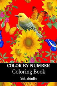 Color By Number Coloring Book For Adults