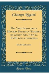 del Vero Senso Della Maniera Dantesca 