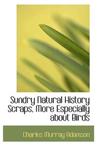 Sundry Natural History Scraps, More Especially about Birds