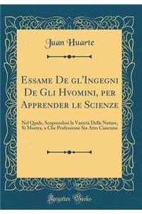 Essame De gl'Ingegni De Gli Hvomini, per Apprender le Scienze: Nel Quale, Scoprendosi la Varietà Delle Nature, Si Mostra, a Che Professione Sia Atto Ciascuno (Classic Reprint)