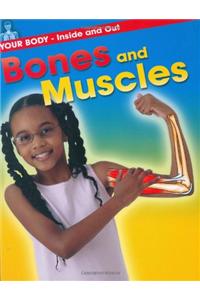 Bones and Muscles