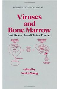 Viruses and Bone Marrow: Basic Research and Clinical Practice