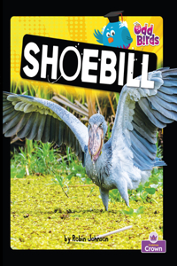 Shoebill