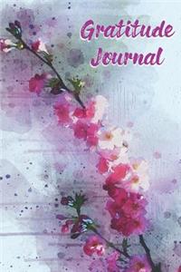 Gratitude Journal