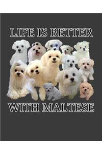 Life Is Better With Maltese