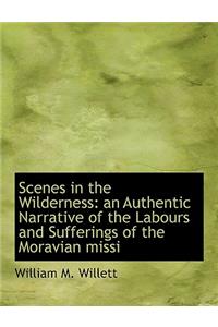 Scenes in the Wilderness