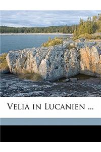 Velia in Lucanien ...