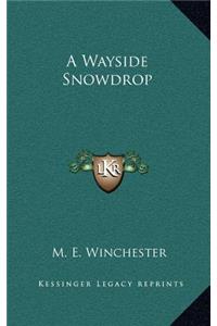 A Wayside Snowdrop