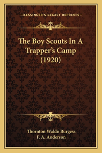 The Boy Scouts In A Trapper's Camp (1920)