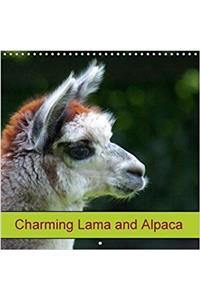 Charming Lama and Alpaca 2018
