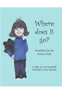 Where Does it Go?