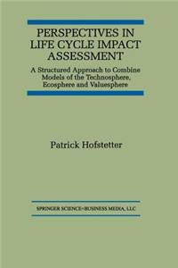 Perspectives in Life Cycle Impact Assessment