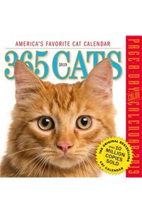 365 Cats Page-A-Day Calendar 2019