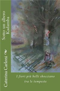 Sotto un albero Kadamba