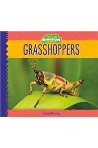 Grasshoppers