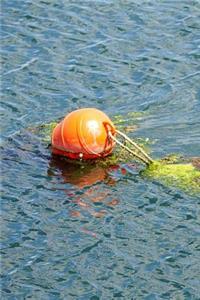 Water Beacon Journal