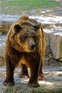 A Brown Bear Walking Journal