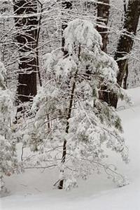 Winter Morning Journal