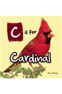 C is for Cardinal