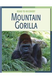 Mountain Gorilla