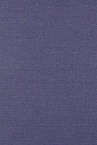 The Napoleon of Notting Hill by G. K. Chesterton, Fiction, Classics, Literary, Historical