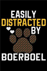 Easily Distracted by Boerboel