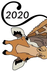 2020