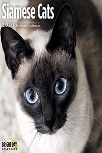 SIAMESE CATS WALL CALENDAR 2020