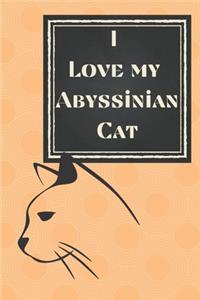I Love my Abyssinian Cat