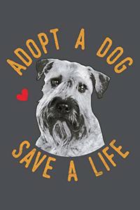 Adopt A Dog Save A Life