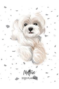 Maltese 2020 Planner: Dated Weekly Diary With To Do Notes & Dog Quotes