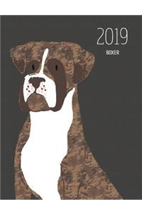 2019 Boxer