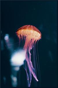 Jellyfish Notebook