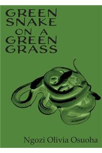 Green Snake on a Green Grass