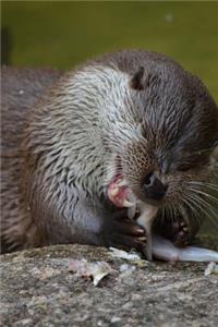 An Otter Having a Snack Journal